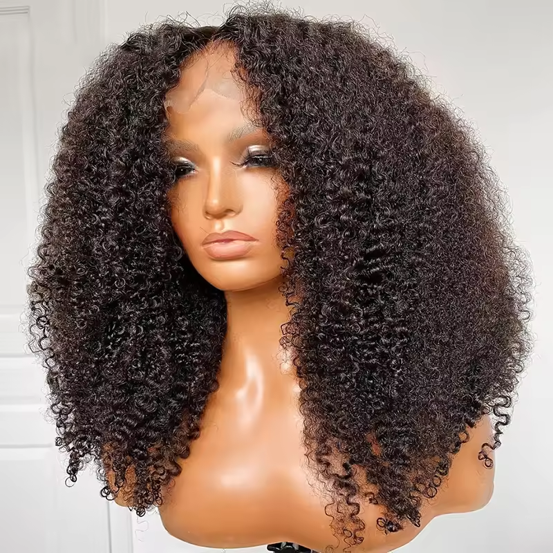 13x4 Full Frontal Human Hair Wigs 200% Density Raw Virgin Hair Glueless Kinky Curly Wigs Pre Plucked for Woman