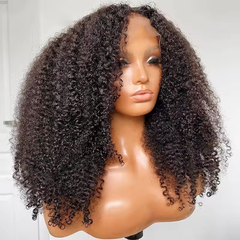 13x4 Full Frontal Human Hair Wigs 200% Density Raw Virgin Hair Glueless Kinky Curly Wigs Pre Plucked for Woman