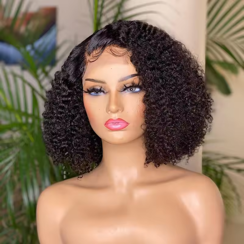 5x5 Lace Closure Wigs Human Hair 100% Vietnamese Virgin Hair Glueless Short Curly Wigs 180% Density for Woman