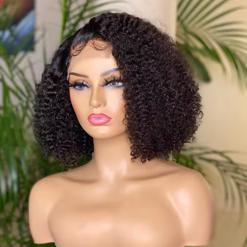 5x5 Lace Closure Wigs Human Hair 100% Vietnamese Virgin Hair Glueless Short Curly Wigs 180% Density for Woman