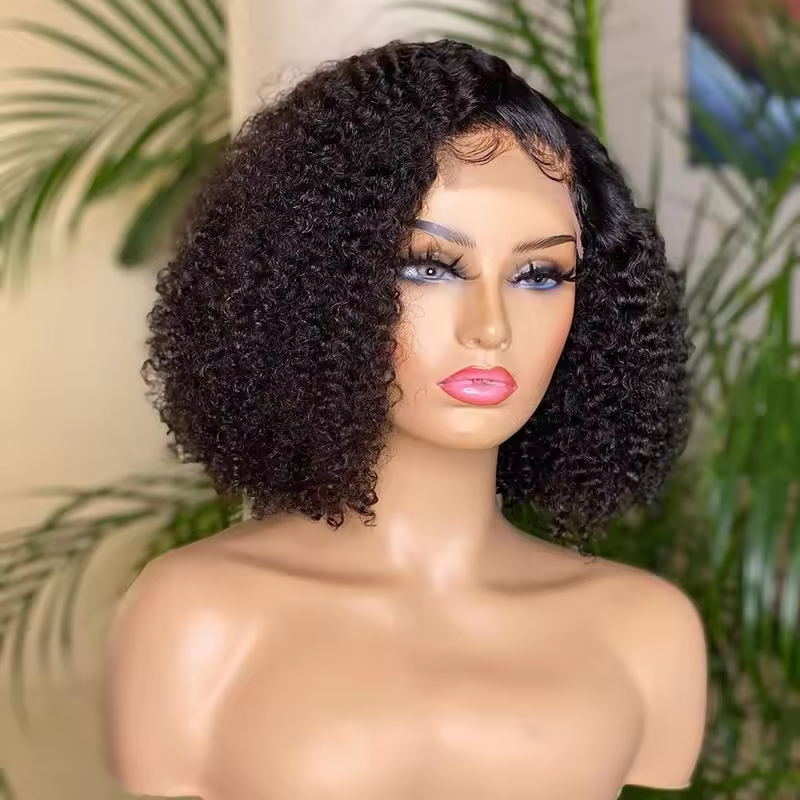 5x5 Lace Closure Wigs Human Hair 100% Vietnamese Virgin Hair Glueless Short Curly Wigs 180% Density for Woman