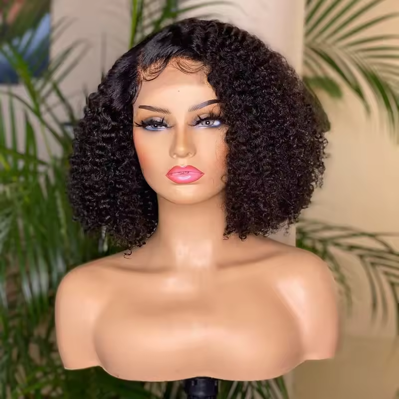 5x5 Lace Closure Wigs Human Hair 100% Vietnamese Virgin Hair Glueless Short Curly Wigs 180% Density for Woman